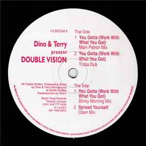 Dino & Terry Present Double Vision - You Gotta (Work With What You Got) Mp3