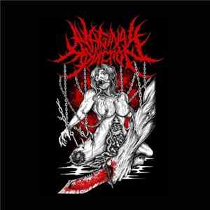 Vaginal Addiction - Promo Mp3