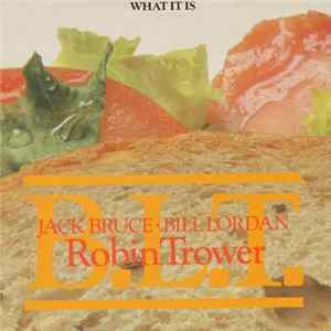 Robin Trower - What It Is Mp3
