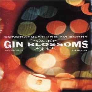 Gin Blossoms - Congratulations I'm Sorry Mp3