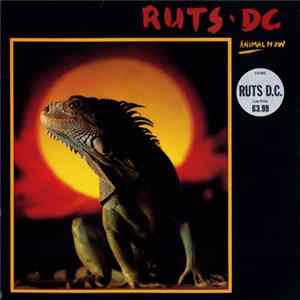 Ruts DC - Animal Now Mp3