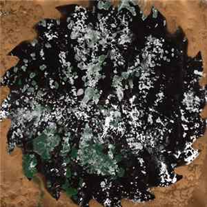 Voice Of Eye - Sprocket Mp3