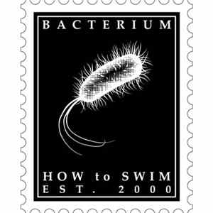 How To Swim - Bacterium + Remixes EP Mp3