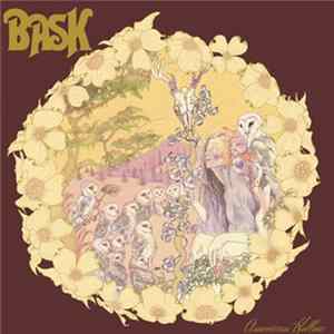 Bask - American Hollow Mp3