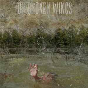 On Broken Wings - Going Down Mp3