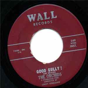 The Orchids - Good Gully! / Soft Shadows Mp3