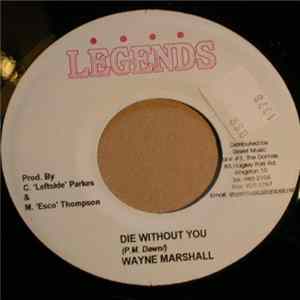 Wayne Marshall / Flava Unit - Die Without You / Your Body's Calling Mp3