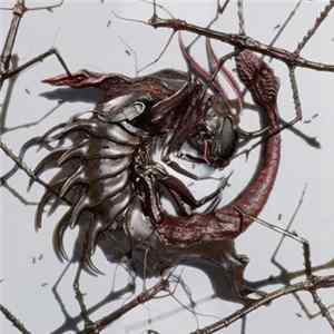 Dasychira - Immolated EP Mp3