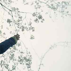 Wil Bolton - Bokeh Mp3