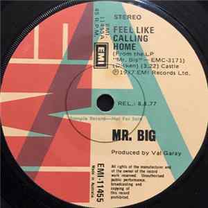 Mr Big - Feel Like Calling Home Mp3