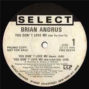 Brian Andrus - You Don't Love Me (Like You Used To) Mp3