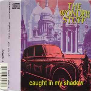The Wonder Stuff - Caught In My Shadow Mp3