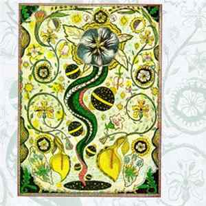 Steve Earle - I Feel Alright Mp3