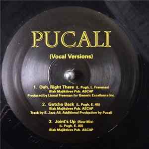 Pucali - Ooh, Right There Mp3