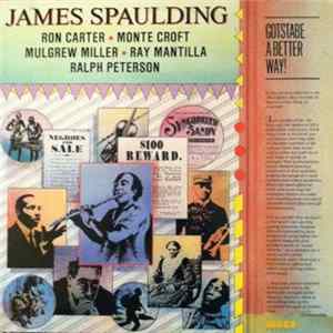 James Spaulding - Gotstabe A Better Way Mp3