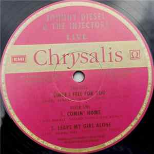 Johnny Diesel & The Injectors - Since I Fell For You Mp3