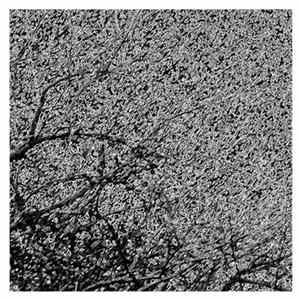 Tsing Tse - EP noi Mp3
