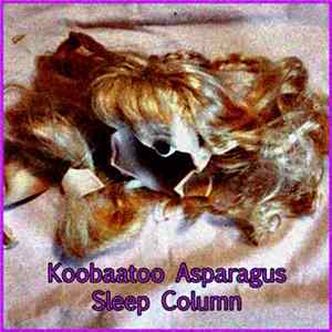 Koobaatoo Asparagus / Sleep Column - Untitled Mp3