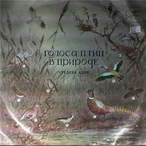 No Artist - Птицы Средней Азии Mp3