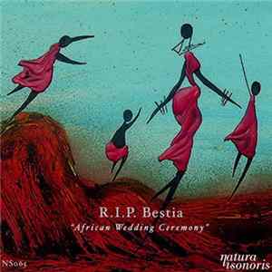 R.I.P. Bestia - African Wedding Ceremony Mp3