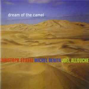 Christoph Stiefel Trio - Dream Of The Camel Mp3