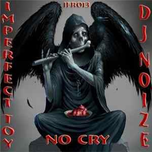 Imperfect Toy & DJ Noise - No Cry Mp3