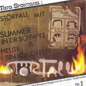 Störfall Band - Summer In Dr Schwyz Mp3