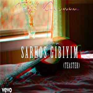 Tolga Kahraman - Sarhoş Gibiyim Mp3