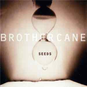 Brother Cane - Seeds Mp3