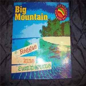 Big Mountain - Reggae Inna Summertime Mp3