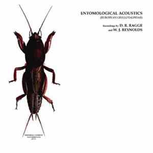 D.R. Ragge And W.J. Reynolds - Entomological Acoustics (European Gryllotalipidae) Mp3