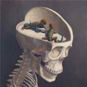 Harsh Words - Reptile Brain Mp3