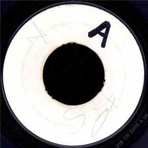 The Bassies - Checking Out Mp3