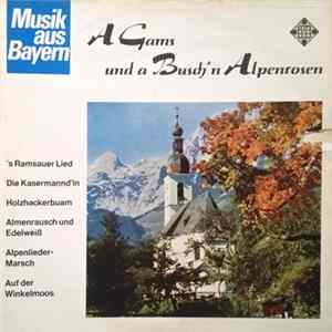 Various - A Gams Und A Busch'n Alpenrosen Mp3