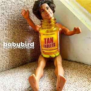 Babybird - King Of Nothing Mp3