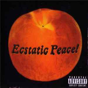 Various - Ecstatic Peace Peach Sampler Mp3