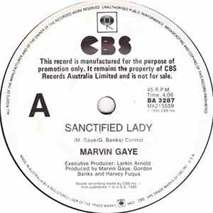Marvin Gaye - Sanctified Lady Mp3