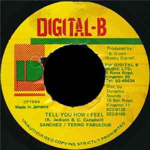 Sanchez / Terro Fabulous - Tell You How I Feel Mp3