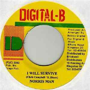 Norris Man - I Will Survive Mp3