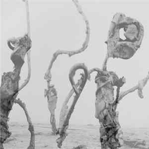 Bartosz Lasecki - Bricolage Mp3