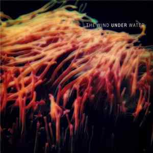 Christopher Sisk - The Wind Under Water Mp3