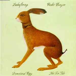 Vashti Bunyan - Lookaftering Mp3