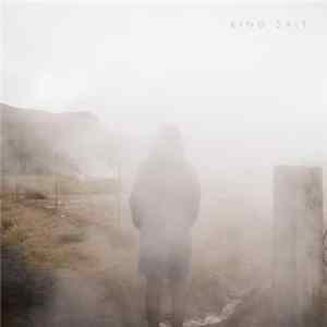 Have/Hold - King Salt Mp3