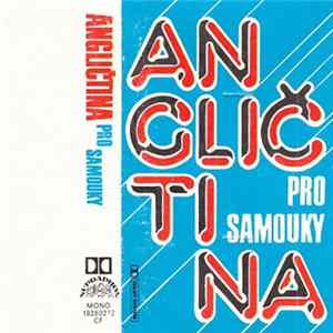 No Artist - Angličtina Pro Samouky Mp3