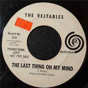 The Vejtables - The Last Thing On My Mind Mp3