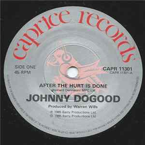Johnny Dogood - After The Hurt Is Done Mp3