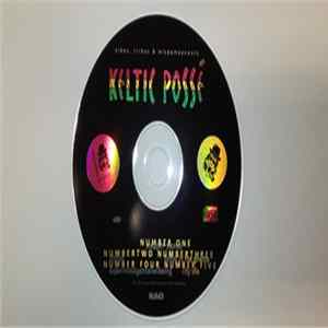 Keltic Possé - Vibes, Tribes & Misdemeanours Mp3