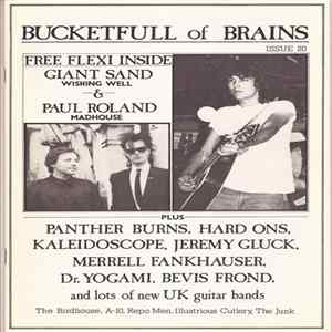 Paul Roland / Giant Sand - Madhouse / Wishing Well Mp3