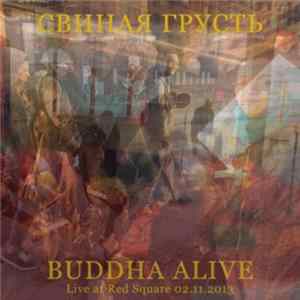 Свиная грусть - Buddha Alive (Live at Red Square 02.11.2013) Mp3