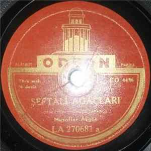 Muzaffer Akgün - Şeftali Ağaçları Mp3